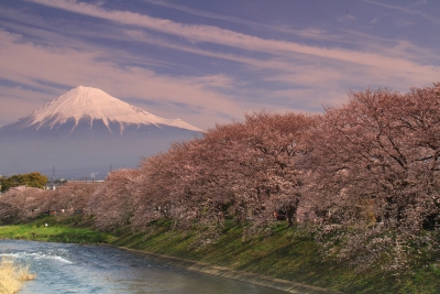 photo?id=3235&suffix=m