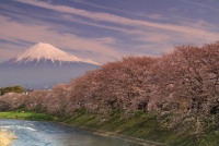 photo?id=3235&suffix=t