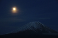 photo?id=3236&suffix=t