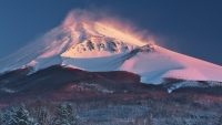 photo?id=3239&suffix=t
