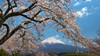 photo?id=3240&suffix=t