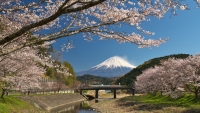 photo?id=3241&suffix=t