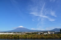 photo?id=3243&suffix=t