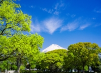 photo?id=3247&suffix=t