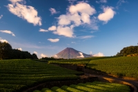 photo?id=3248&suffix=t