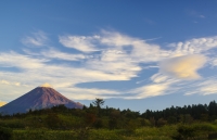photo?id=3250&suffix=t