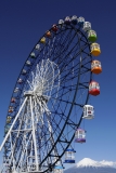 photo?id=3252&suffix=t