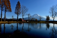 photo?id=3254&suffix=t