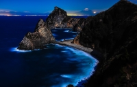 photo?id=3259&suffix=t