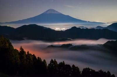 photo?id=3261&suffix=m