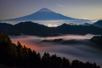 photo?id=3261&suffix=t