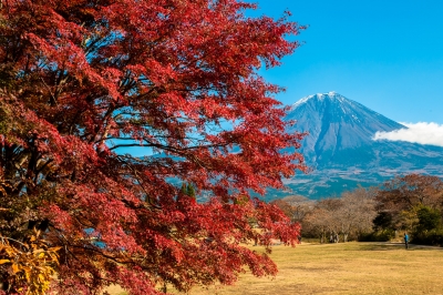 photo?id=3263&suffix=m