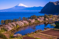 photo?id=3264&suffix=t