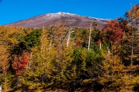 photo?id=3265&suffix=t