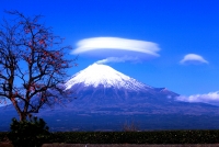 photo?id=3275&suffix=t