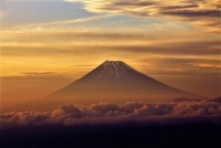photo?id=3276&suffix=t