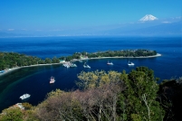 photo?id=3279&suffix=t