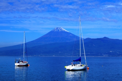 photo?id=3280&suffix=m