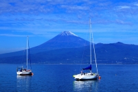 photo?id=3280&suffix=t