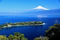 photo?id=3282&suffix=t