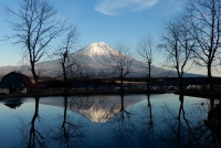photo?id=3289&suffix=t