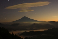 photo?id=3290&suffix=t