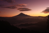 photo?id=3292&suffix=t