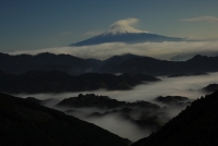 photo?id=3293&suffix=t