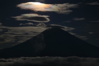 photo?id=3294&suffix=t