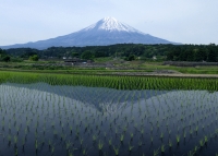photo?id=3297&suffix=t