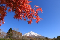 photo?id=3299&suffix=t