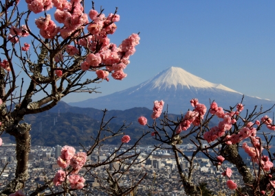 photo?id=3301&suffix=m