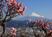 photo?id=3301&suffix=t