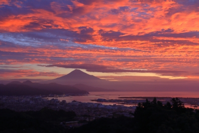 photo?id=3302&suffix=m