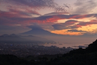 photo?id=3305&suffix=t