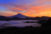 photo?id=3307&suffix=t