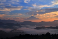 photo?id=3308&suffix=t