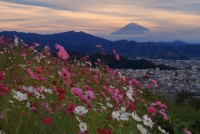 photo?id=3309&suffix=t