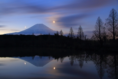 photo?id=3310&suffix=m