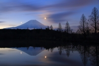 photo?id=3310&suffix=t
