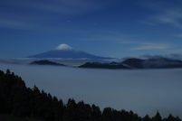photo?id=3312&suffix=t