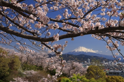 photo?id=3313&suffix=m