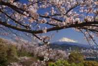photo?id=3313&suffix=t