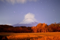 photo?id=3314&suffix=t