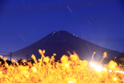 photo?id=3315&suffix=m