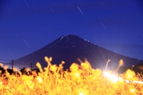 photo?id=3315&suffix=t