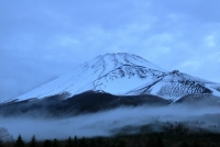photo?id=3316&suffix=t