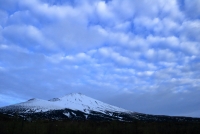 photo?id=3317&suffix=t