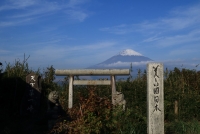 photo?id=3318&suffix=t