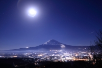 photo?id=3319&suffix=t